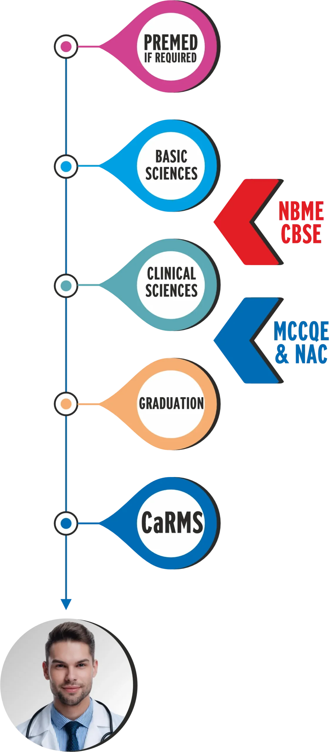 can info (10 2024) vert