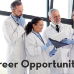 np career opportunities (22 11 2024) 1200x480pxl